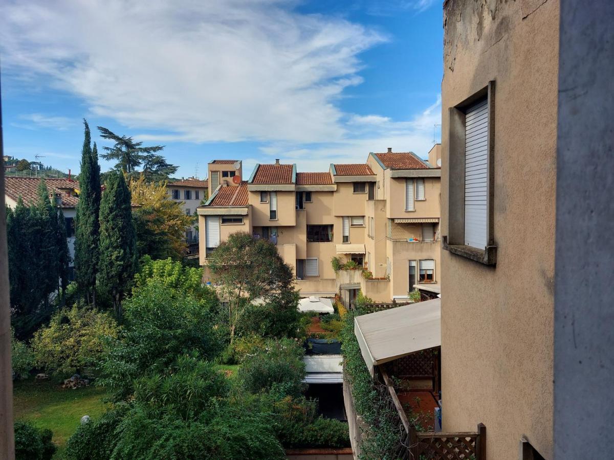 Castiglione Near The Center *